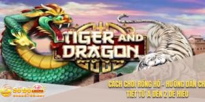 Cách chơi rồng hổ
