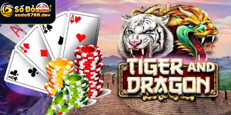 Chiến thuật chơi rồng hổ đạt mức nâng cao