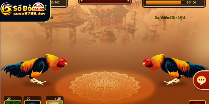 Đá Gà Sodo6789 - Hình Thức Giải Trí Online Đầy Kịch Tính 1 Giới thiệu thông tin về đá gà Sodo6789