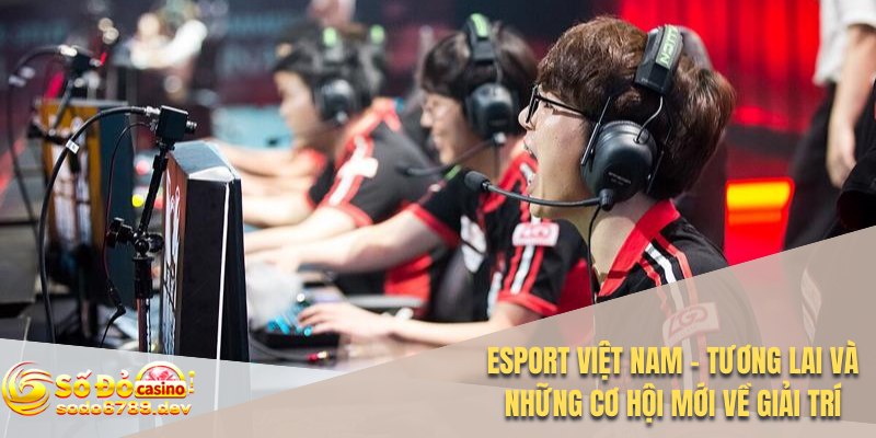 Esport Việt Nam - Tương Lai và Những Cơ Hội Mới Về Giải Trí 1 Esport Việt Nam