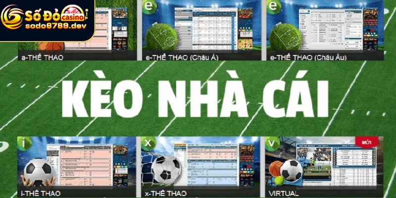 Đọc tỷ lệ kèo sao cho đúng và hiệu quả