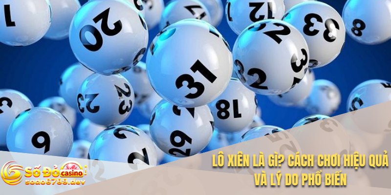 Lô Xiên Là Gì? Cách Chơi Hiệu Quả Và Lý Do Phổ Biến 1 Lô xiên