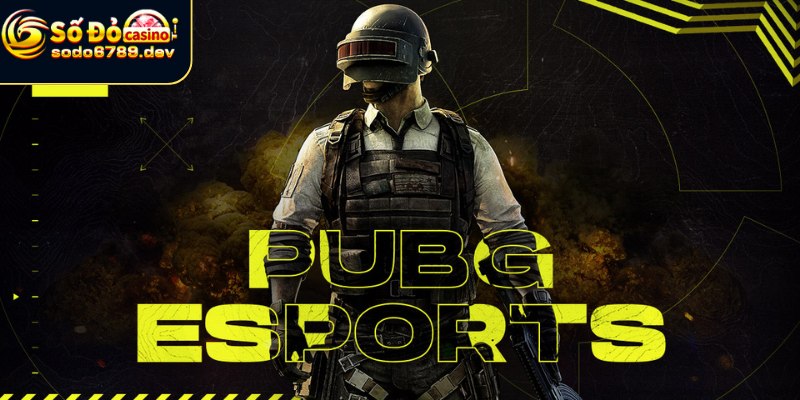 PUBG Esport - Hướng Dẫn Cá Cược Và Cơ Hội Thưởng Nhận Lớn 4 Lý do chọn Sodo6789 làm sân chơi