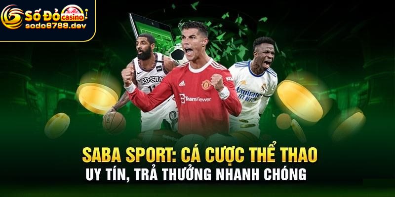 Saba Thể Thao - Khám Phá Bộ Môn Thể Thao Chất Lượng 2 Giới thiệu sản phẩm của Saba thể thao