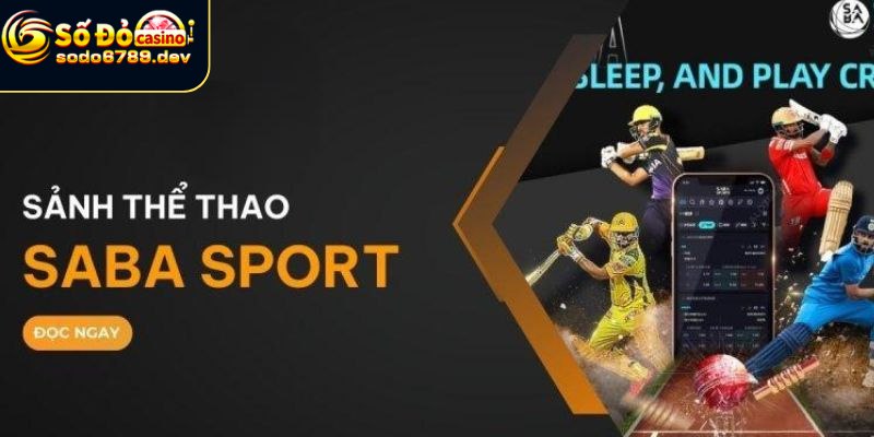Saba Thể Thao - Khám Phá Bộ Môn Thể Thao Chất Lượng 4 Lý do nên lựa chọn Saba Sport để trải nghiệm