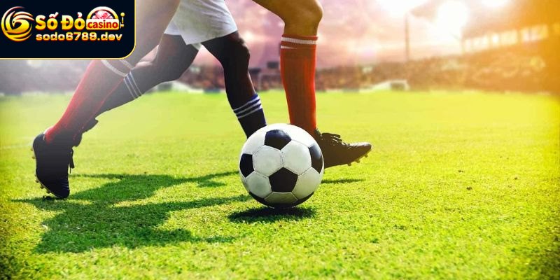 Thể Thao Sodo6789 - Cá Cược Thể Thao Trực Tuyến Thú Vị 1 Tìm hiểu thể thao Sodo6789 chi tiết